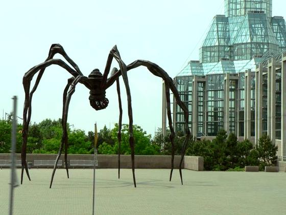 Ottawa Spider