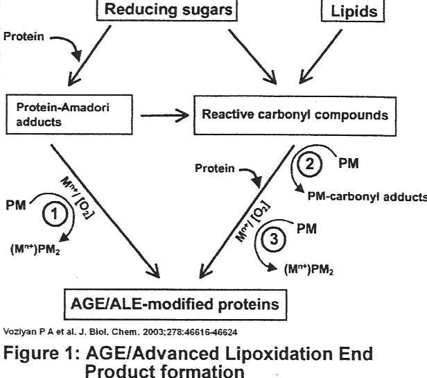 Figure 1 Figure 1