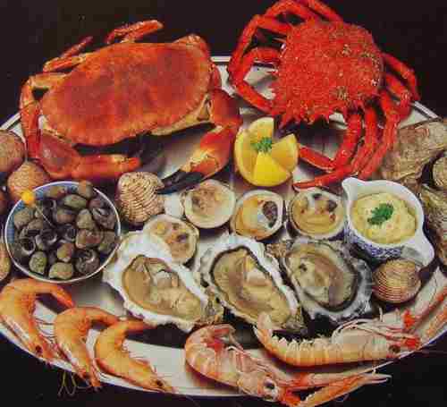 Seafood Seafood