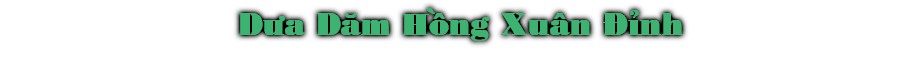 DÜa Dæm HÒng Xuân ñÌnh