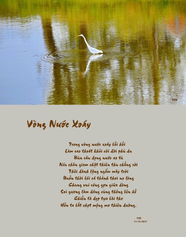 Vòng Nước Xoáy-Thi Ảnh (BS Nguyễn T. Ngọc Diệp) Vòng Nước Xoáy-Thi Ảnh (BS Nguyễn T. Ngọc Diệp)