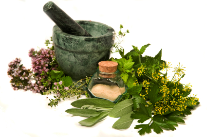 Herbs preparation Herbs preparation